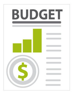 Budget Icon