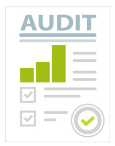 Audit Icon