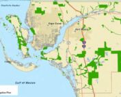 Lee County Mitigation Plan Map Image