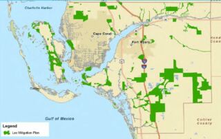 Lee County Mitigation Plan Map Image